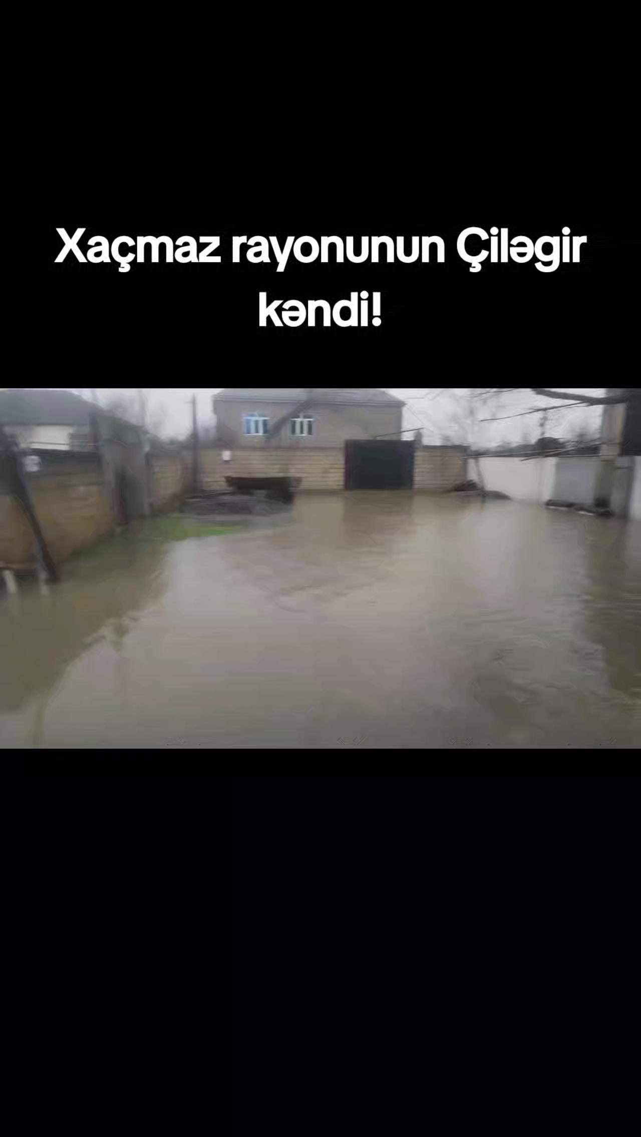 @M&uuml;şfiq Qərib