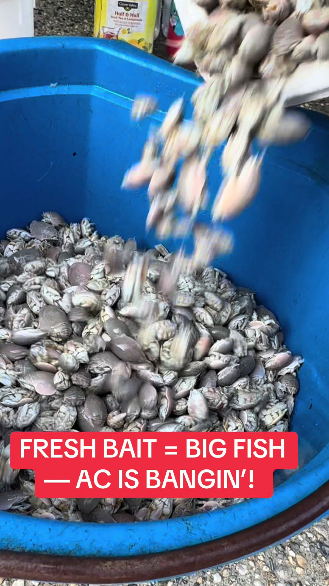 @One stop bait & tackle