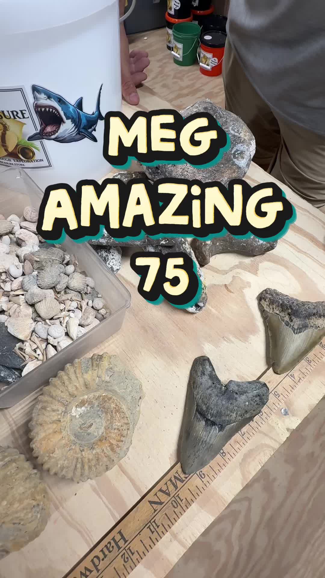 @buriedtreasure