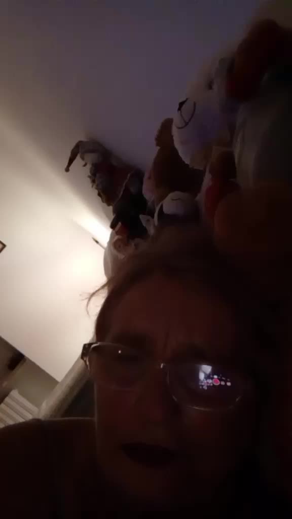 @maggiolo