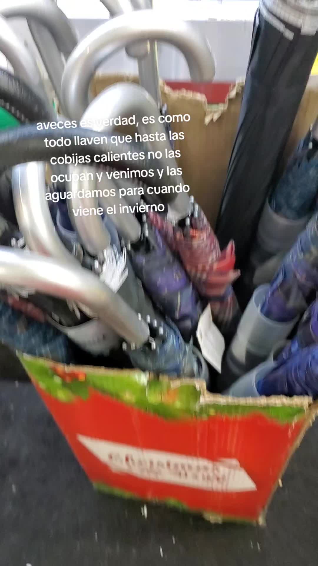 @latiarosa68