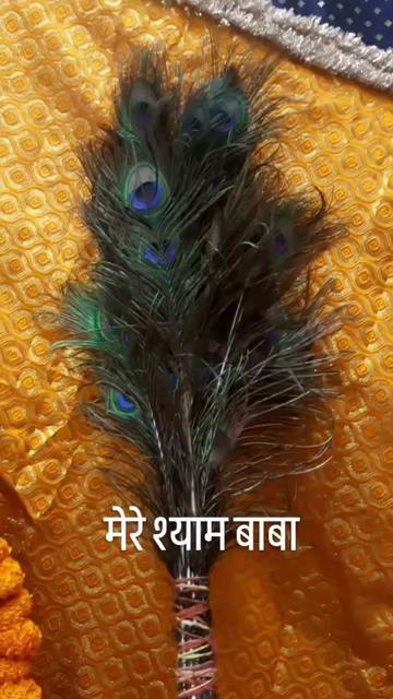 @🇮🇳🪯🪯Sunil Kumar८🪯🪯🪯🪯