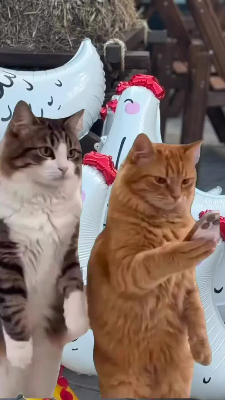 @✞︎✰{태봉}✞︎✰