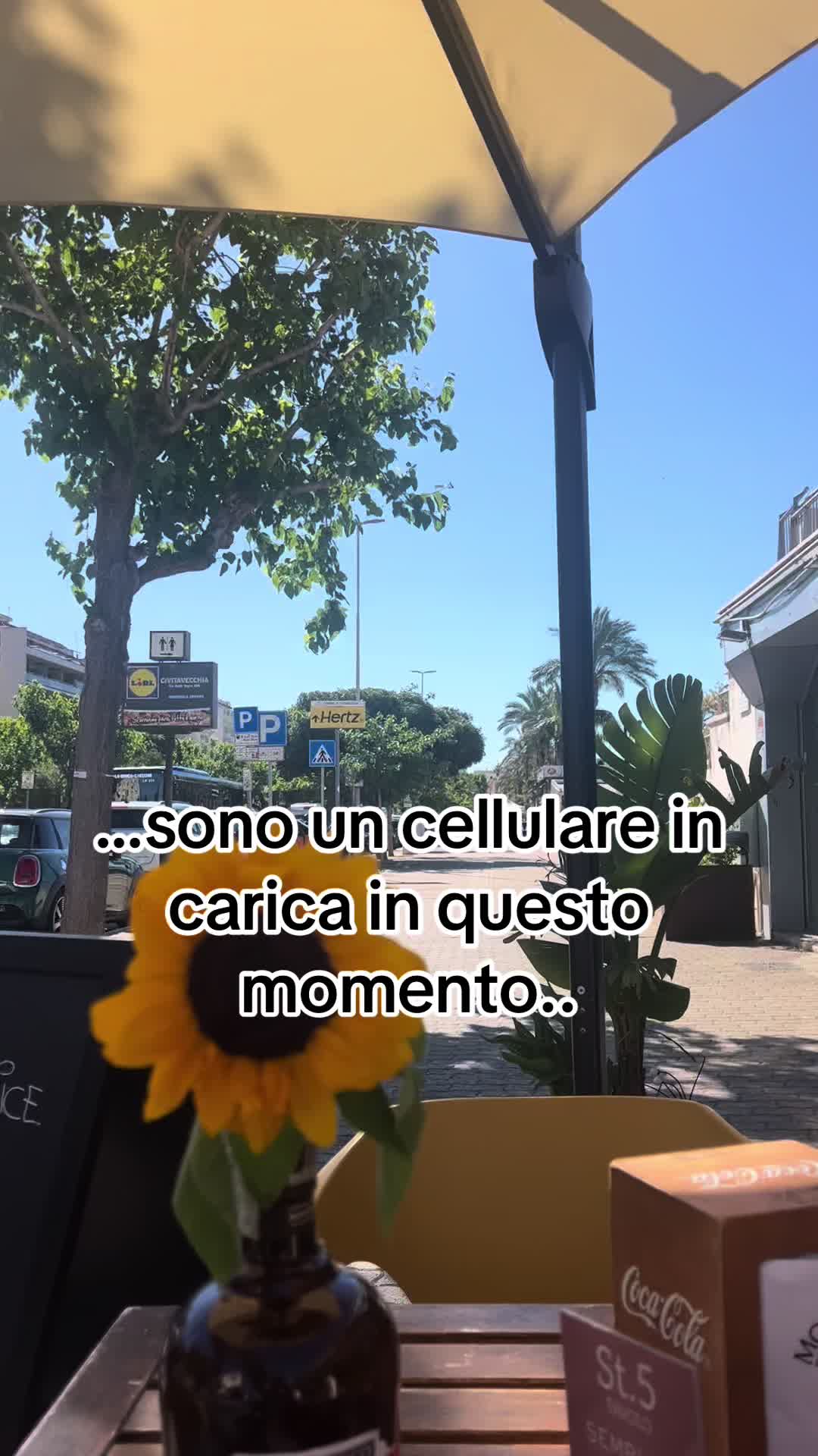 @Luna chiena