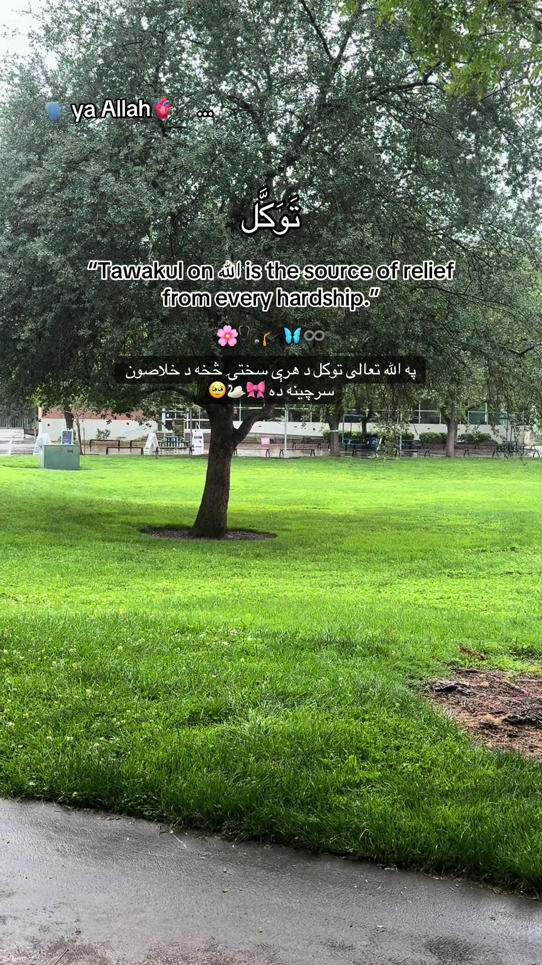@👑🩺~Jannat~🤍🦋🇺🇸