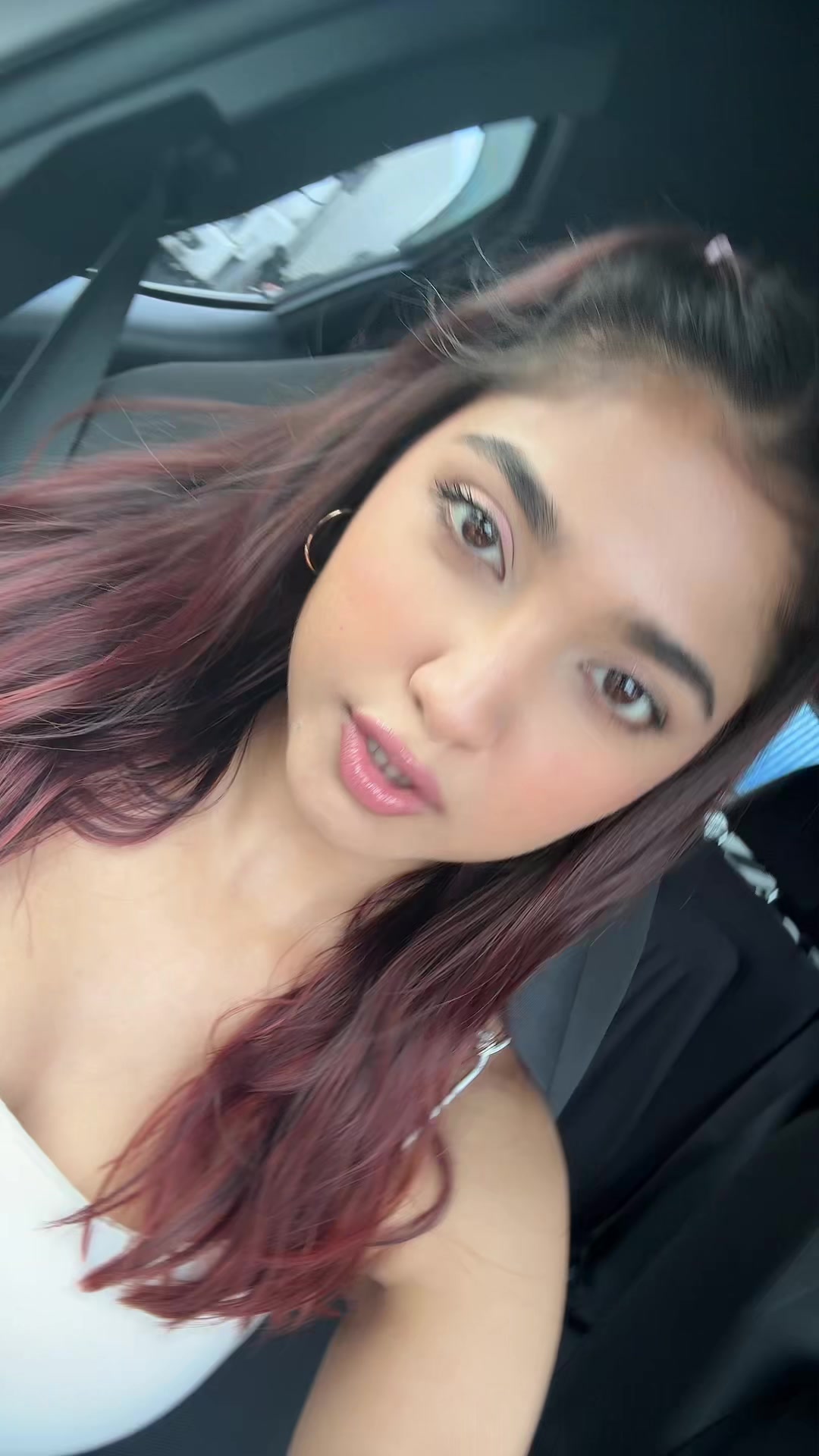 @elani muller
