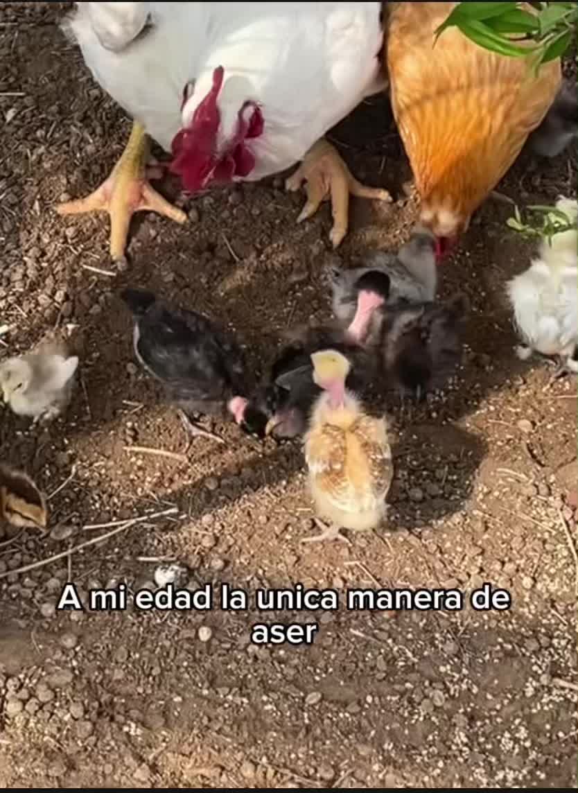 @𝕊𝕚❁ᥫ᭡𝔽𝕝𝕦𝕗𝕗𝕪ℂ𝕠𝕣𝕣𝕒𝕝