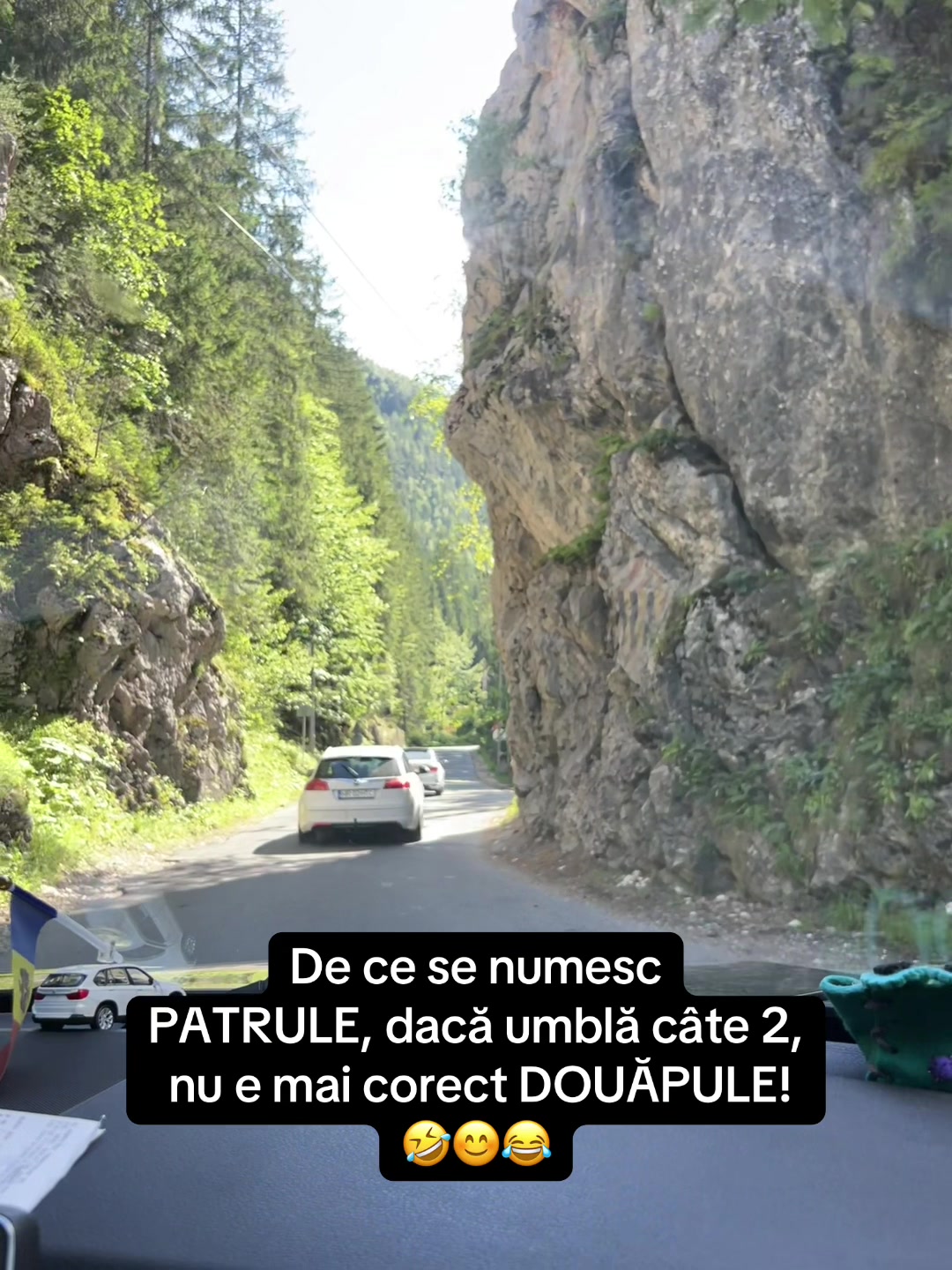 @Ghita Catana