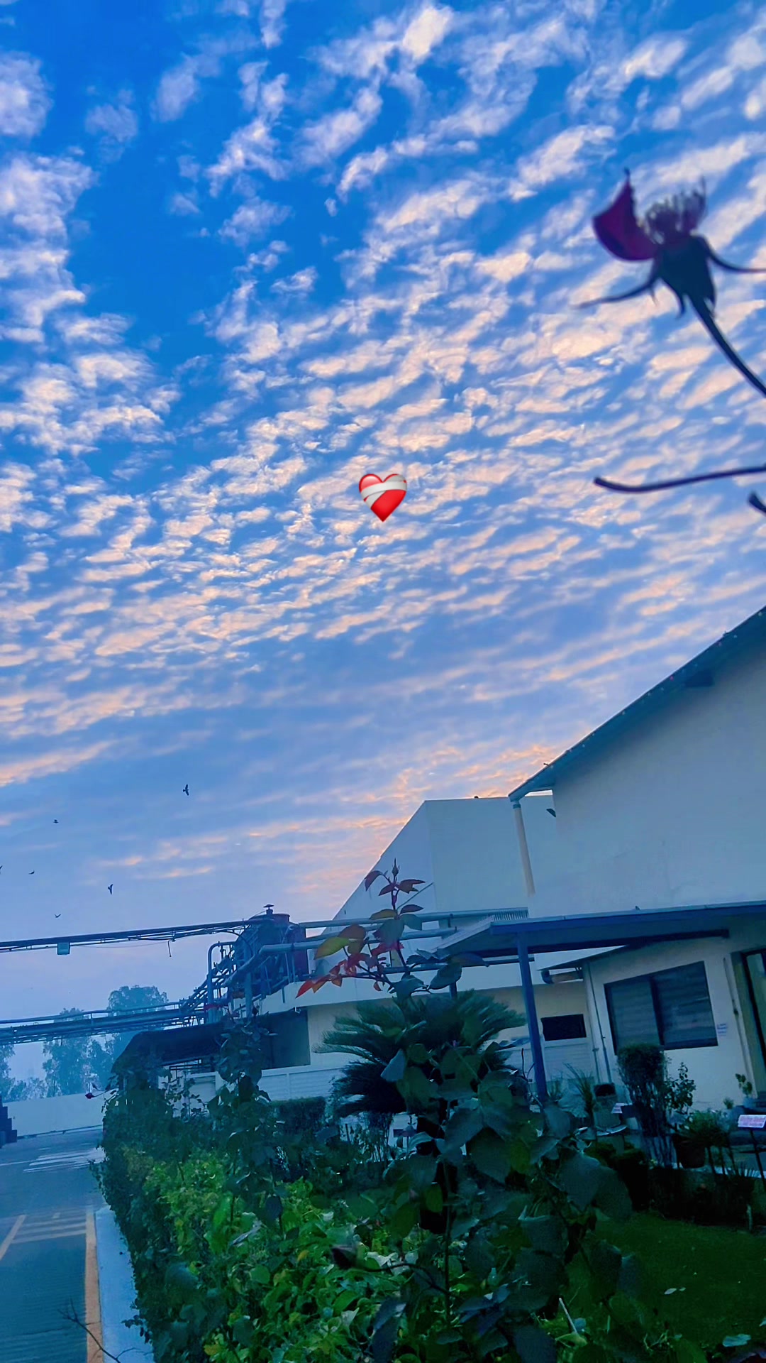 @S A N D E E P ❤️&zwj;🩹