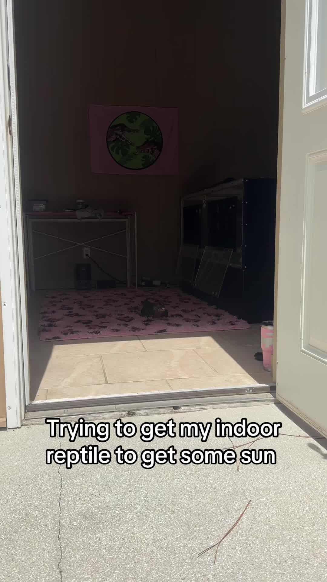 @Crazycaimanlady