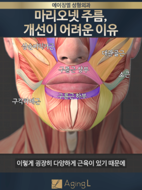 @agingl_official