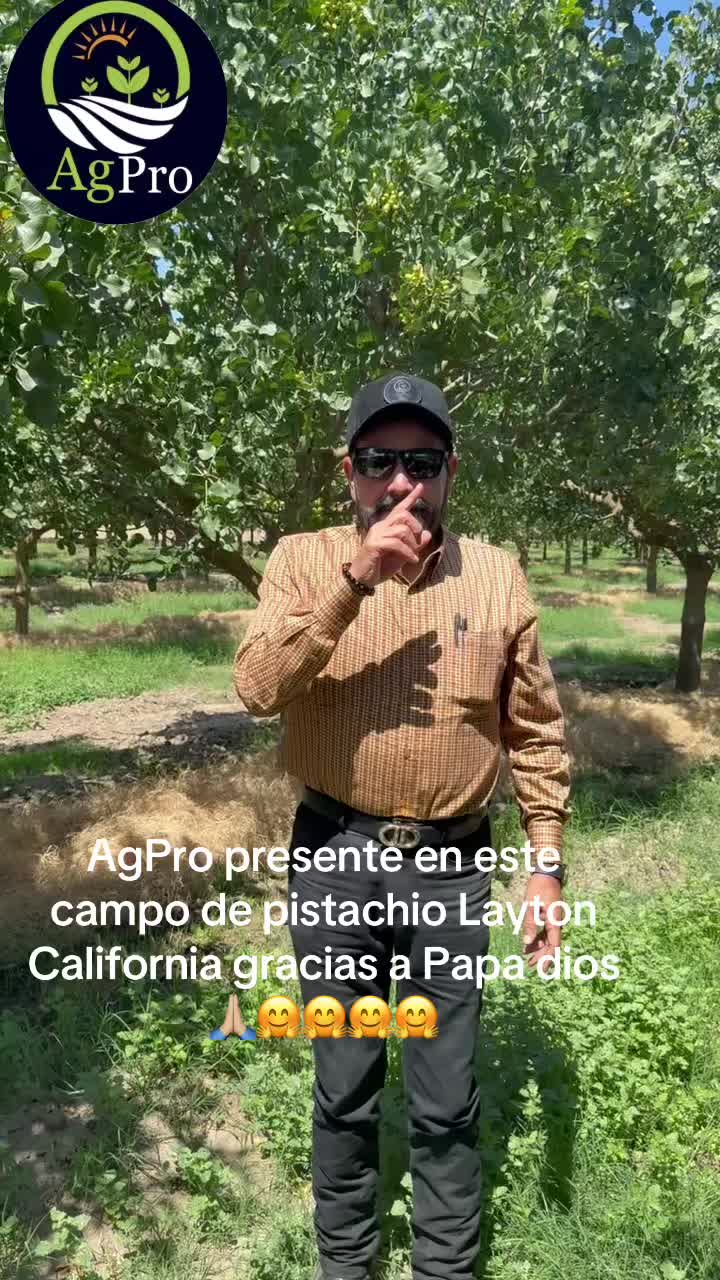 @Piedad Ayala