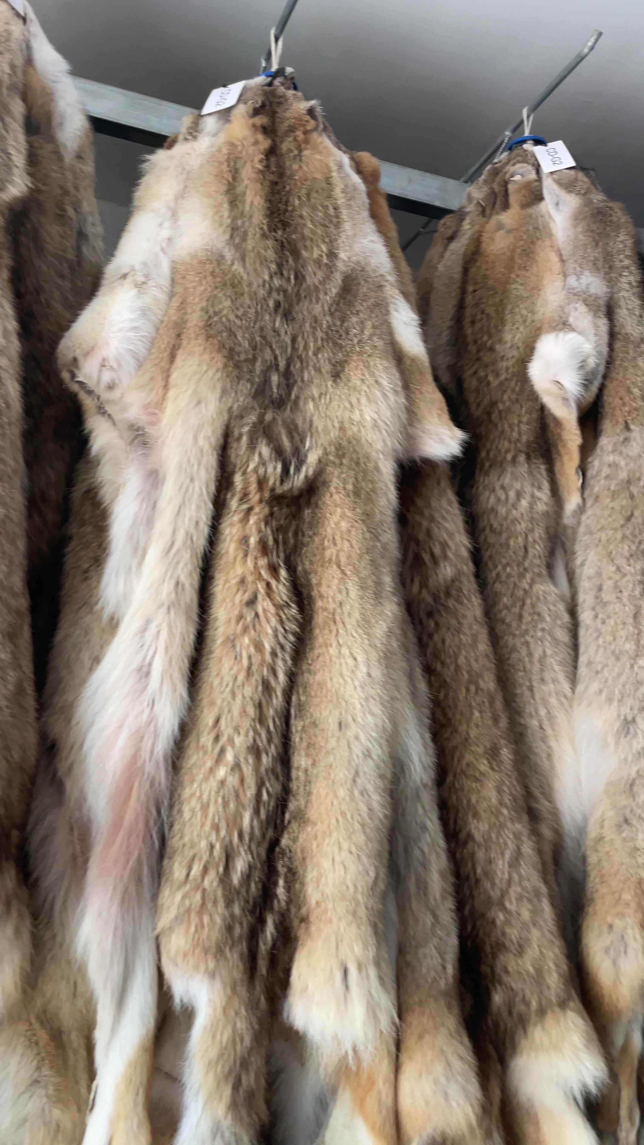 @fur coat