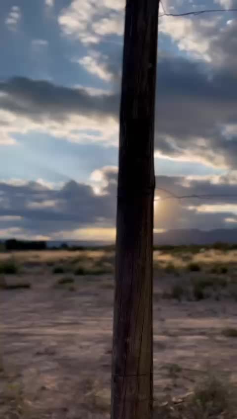 @mauriciom73