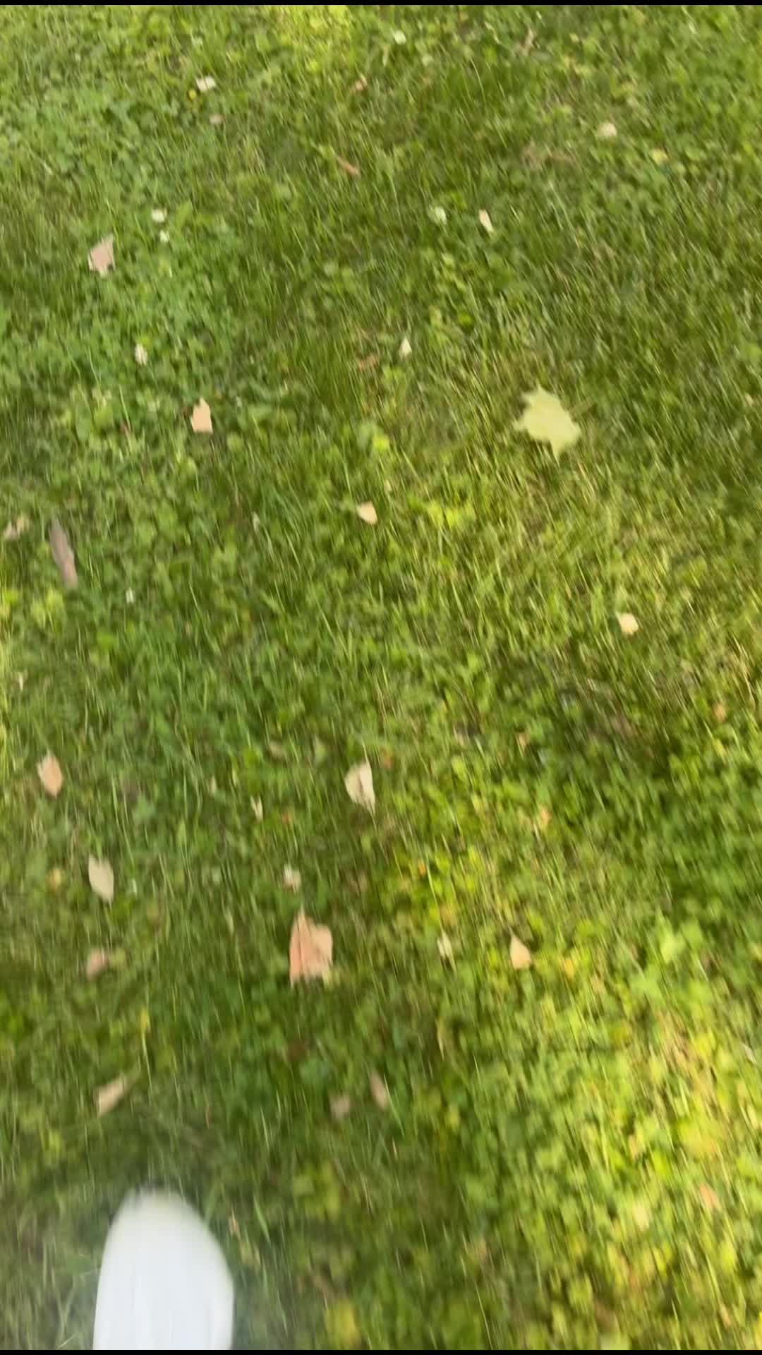 @fabfivemom4life