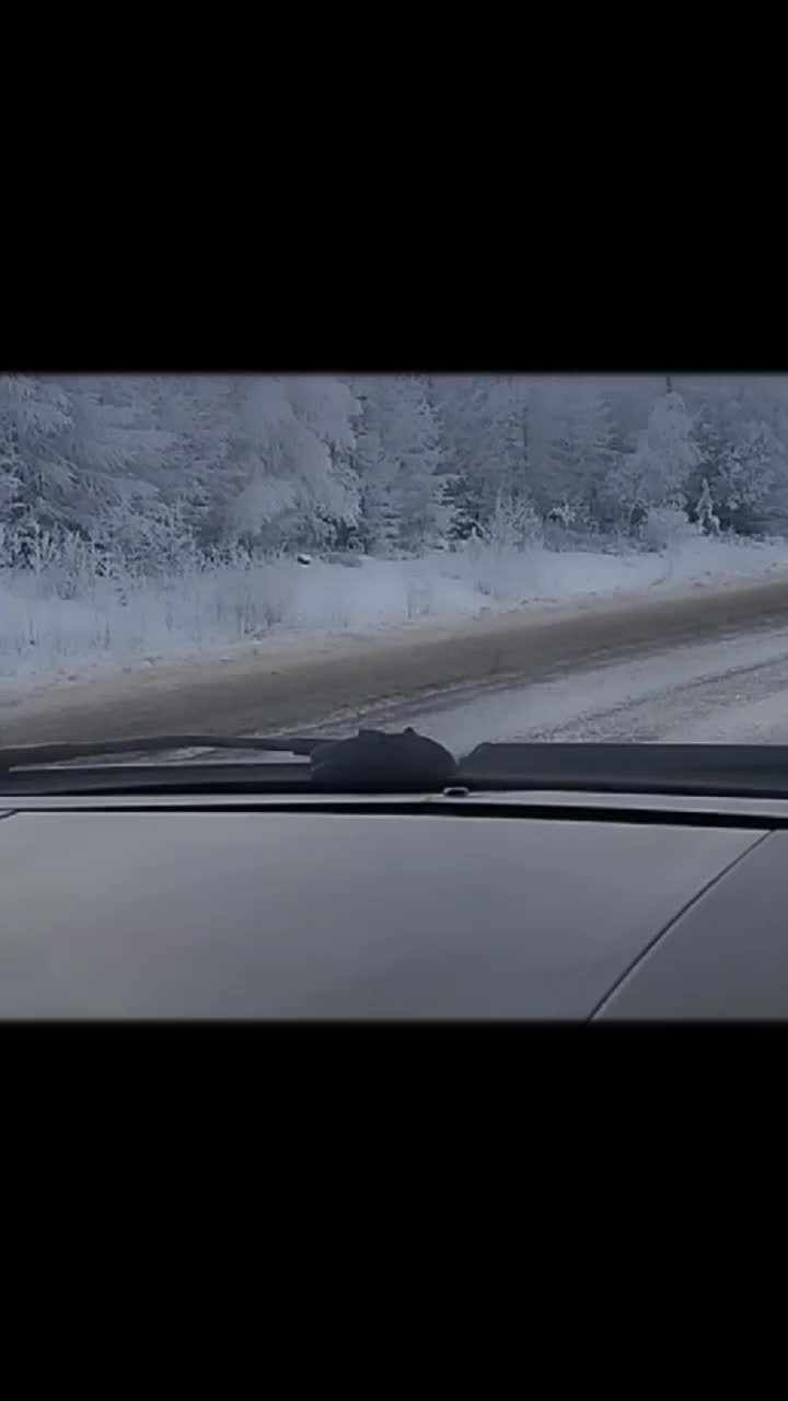 @Марина Ильясова