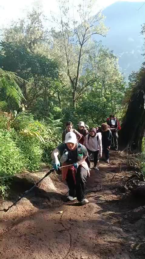@arsih