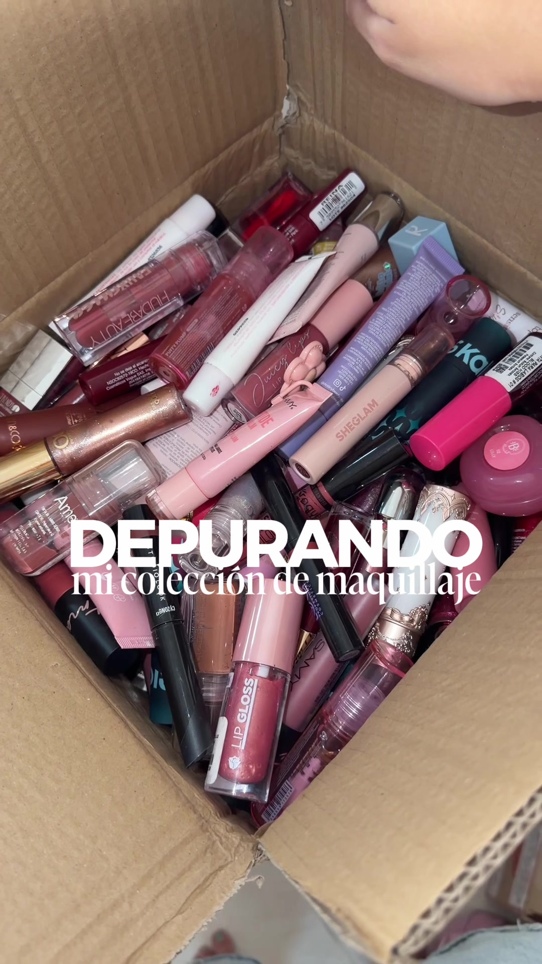 @Susi Arango