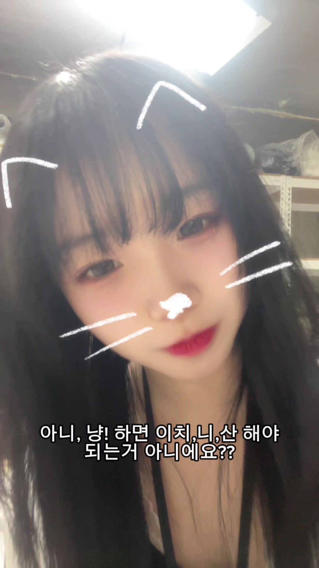 @묘월 卯月 ☪︎·̩͙