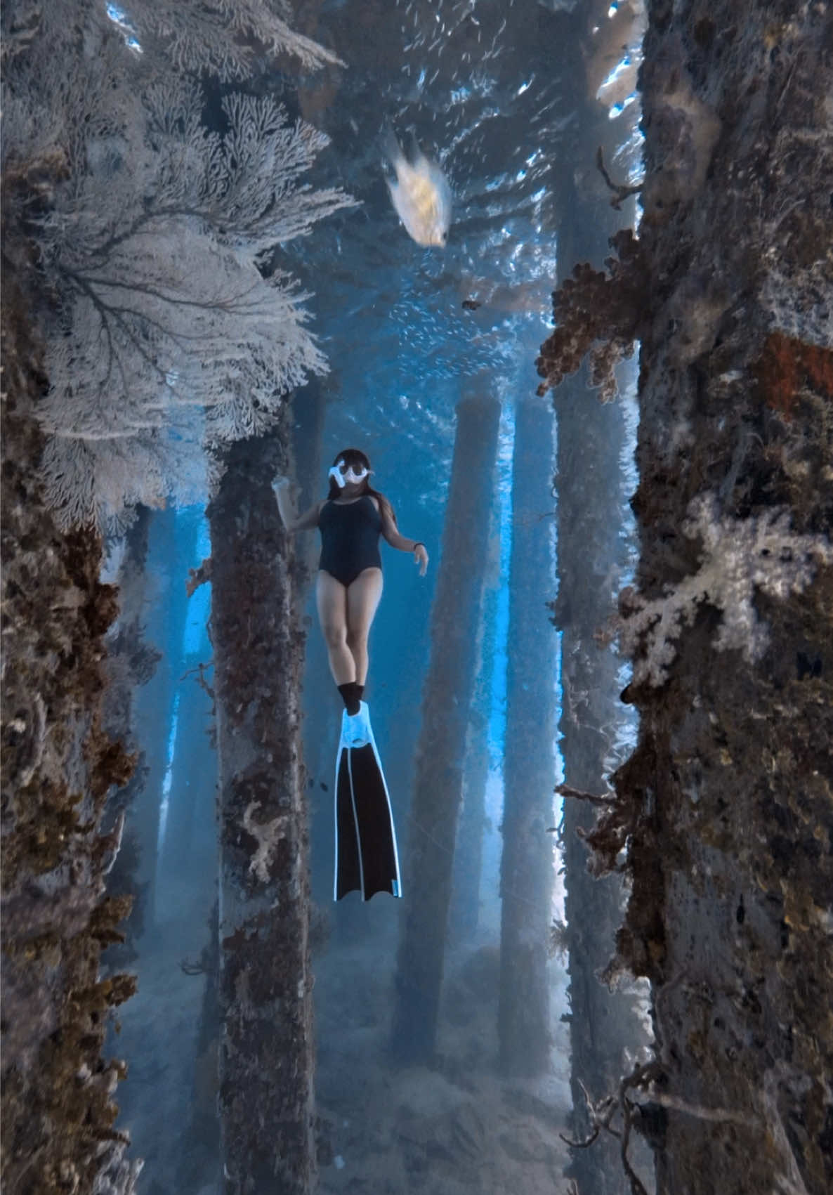 @@voltamazingfreediver