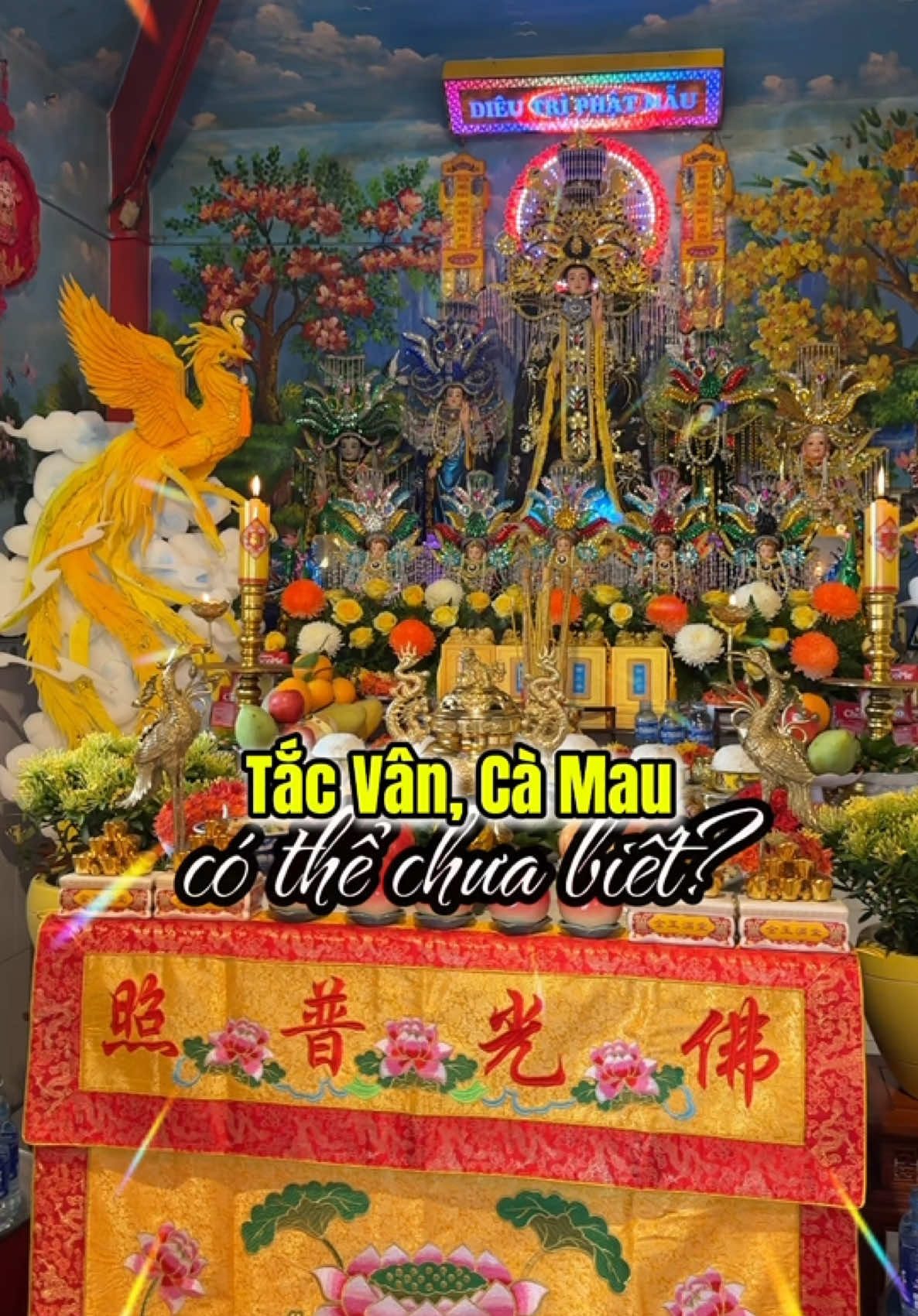 @B&eacute; Rồng