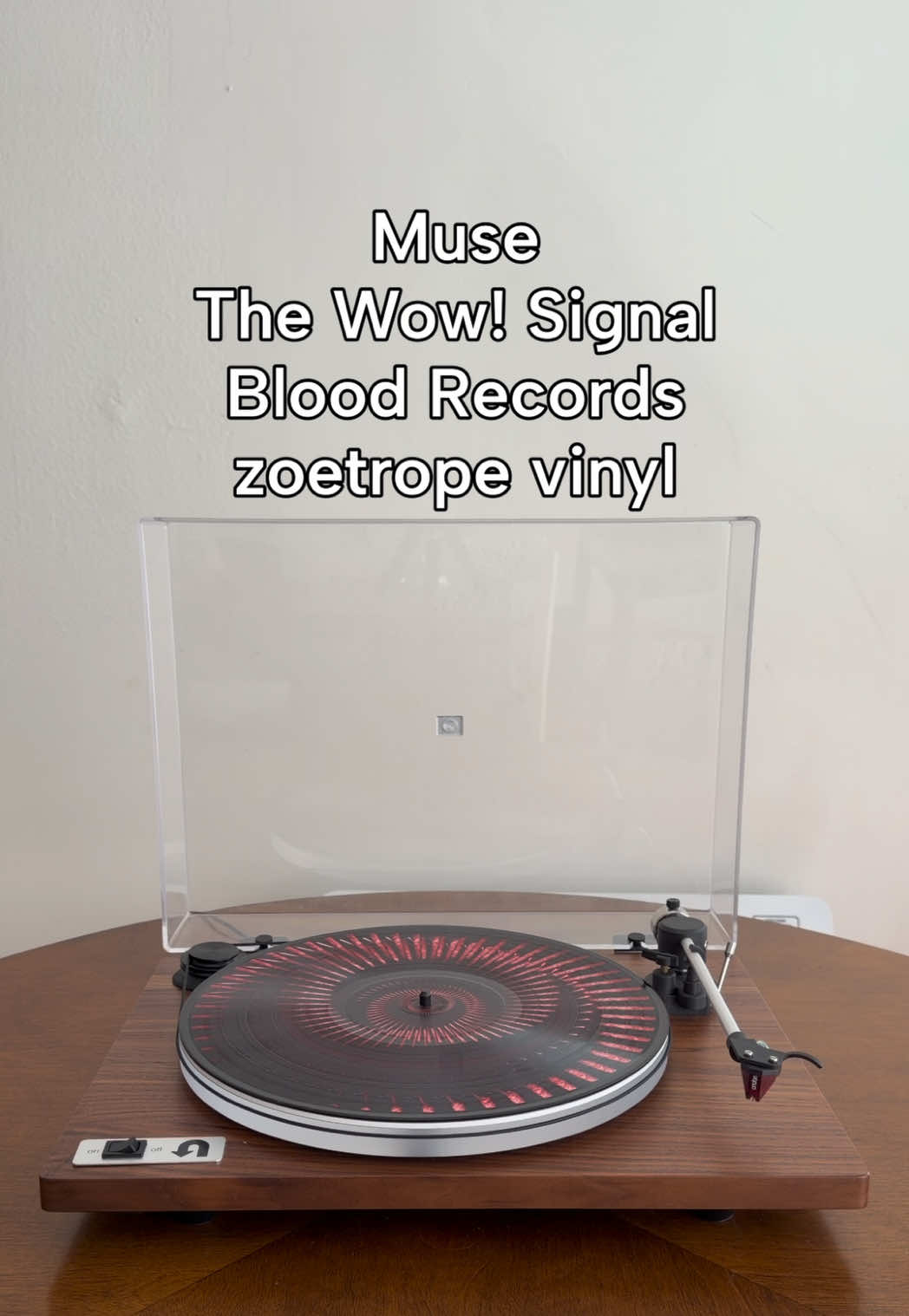 @natali’s vinyl