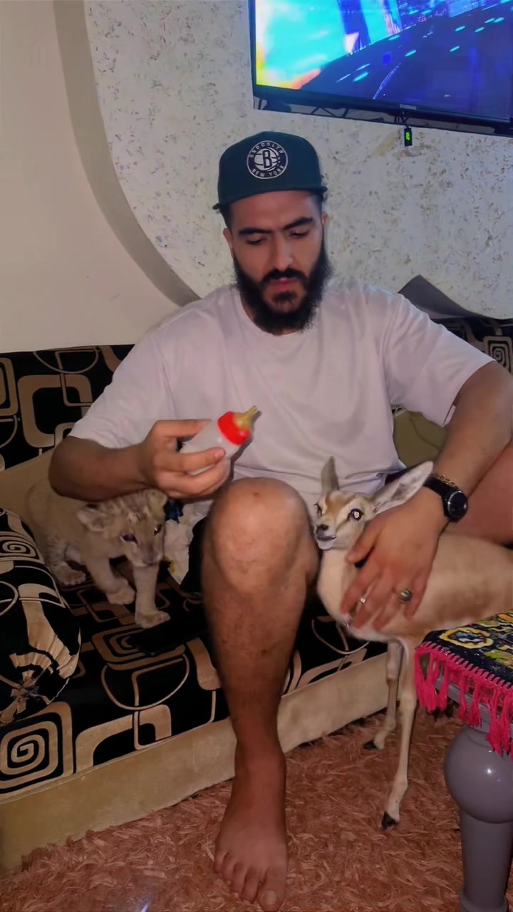 @مؤيد التركي 🐅🐆