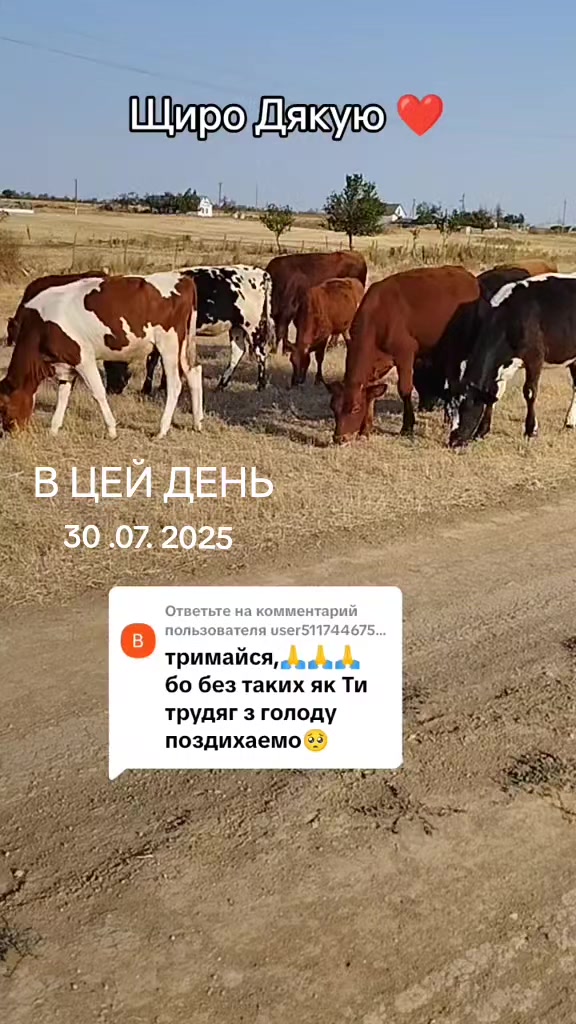@Марченко Наталья