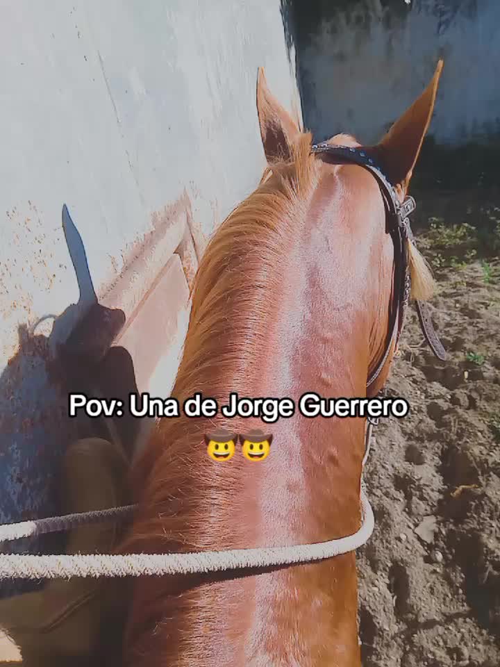 @Juan Anzola 🤠