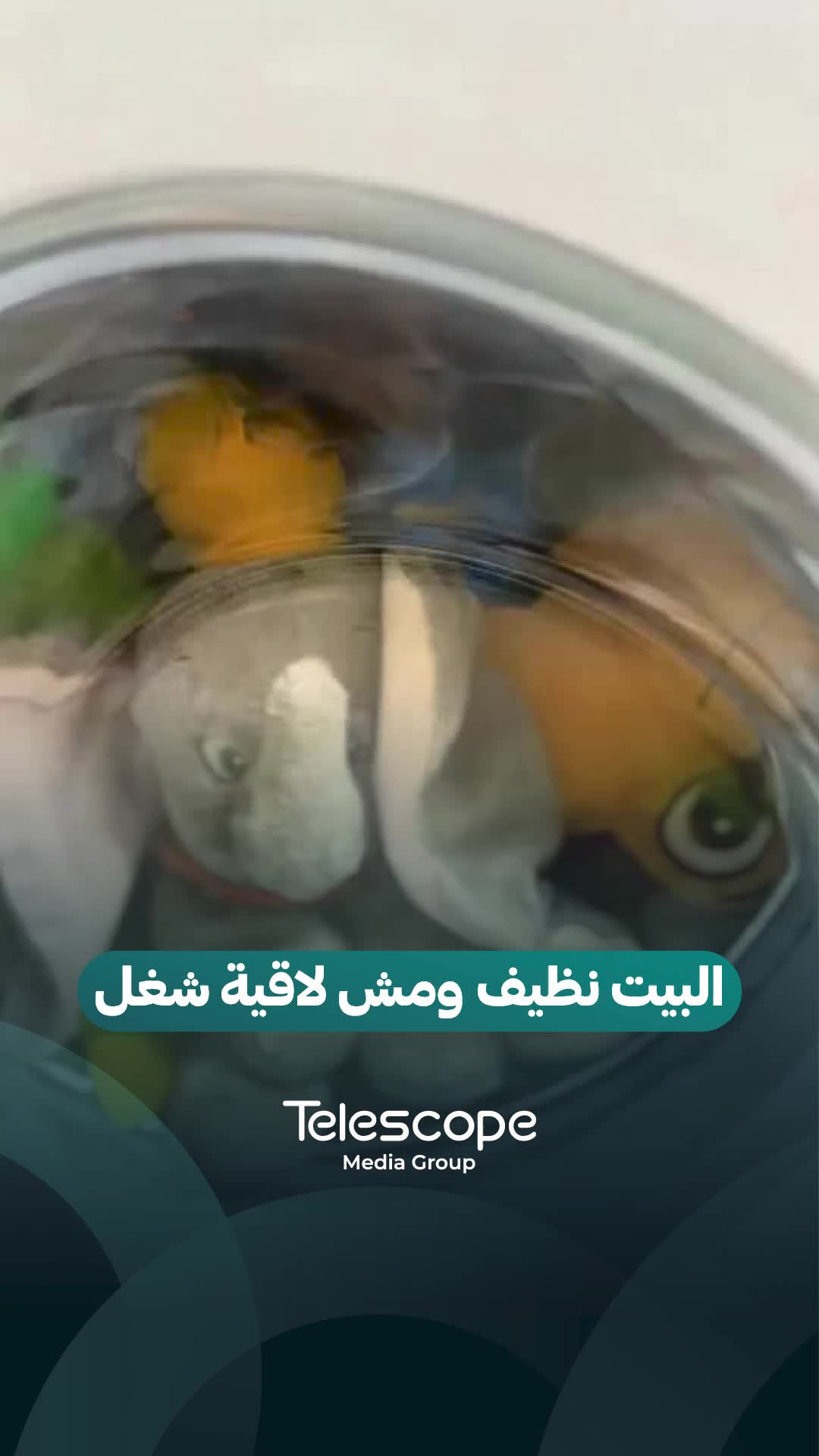 @Telescope - تلسكوب