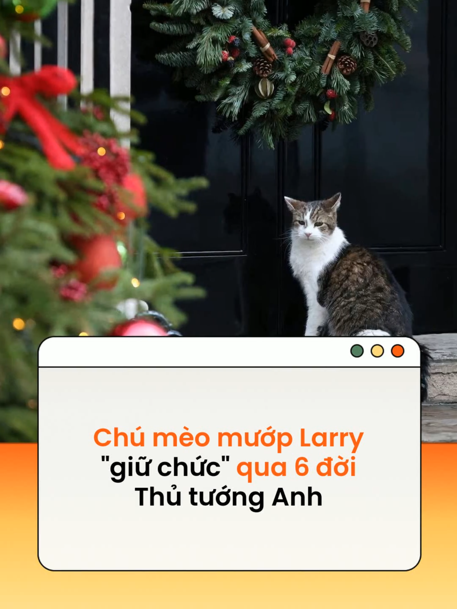 @Kenh14.vn