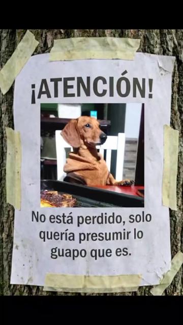 @Oscar Rey