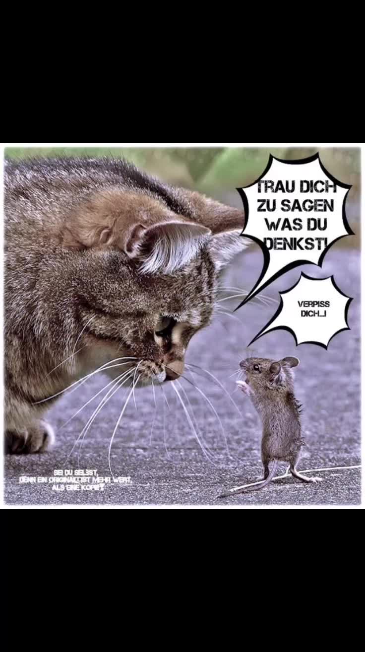 @Suse66