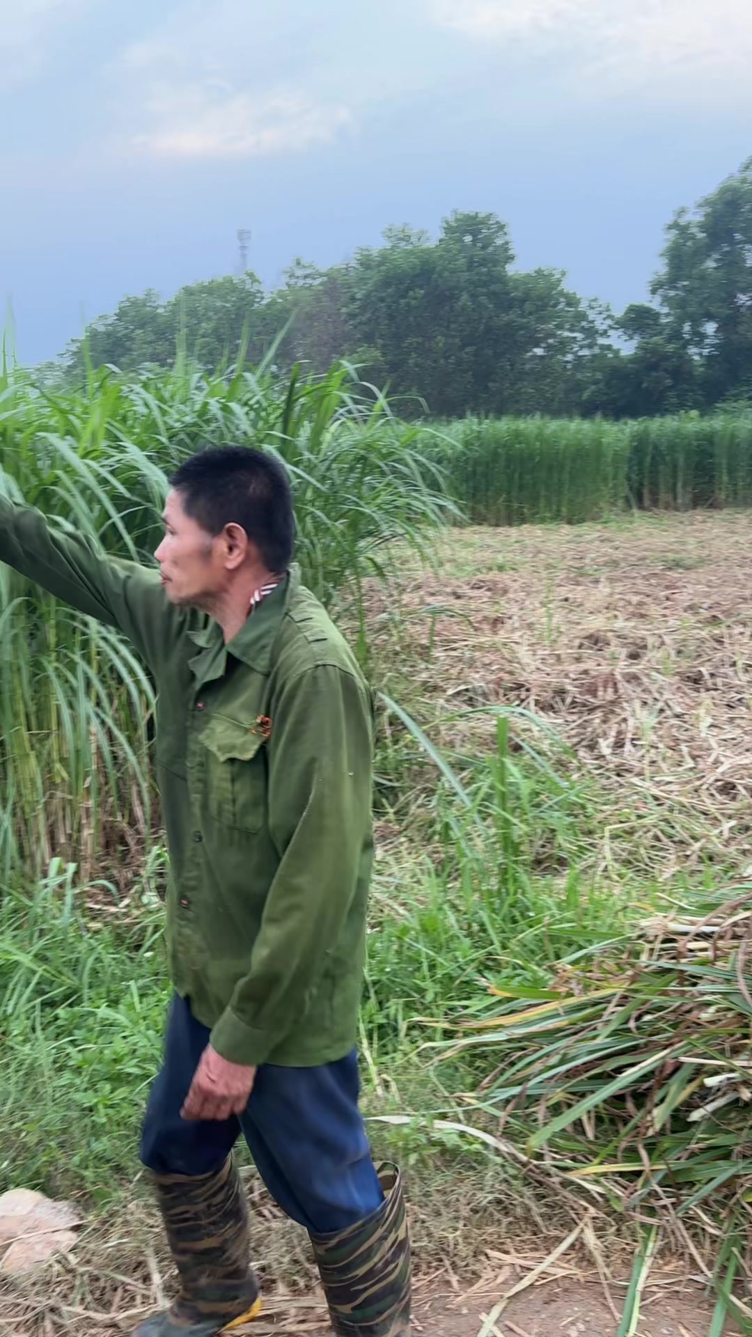 @Tuấn T&agrave;i Lộc : 0377.522.533