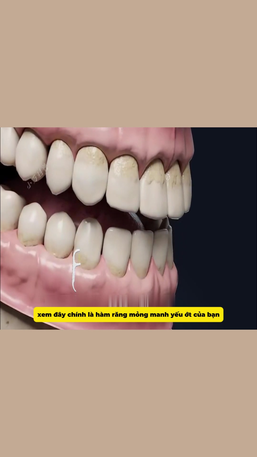 @CẨM NANG SỨC KHOẺ