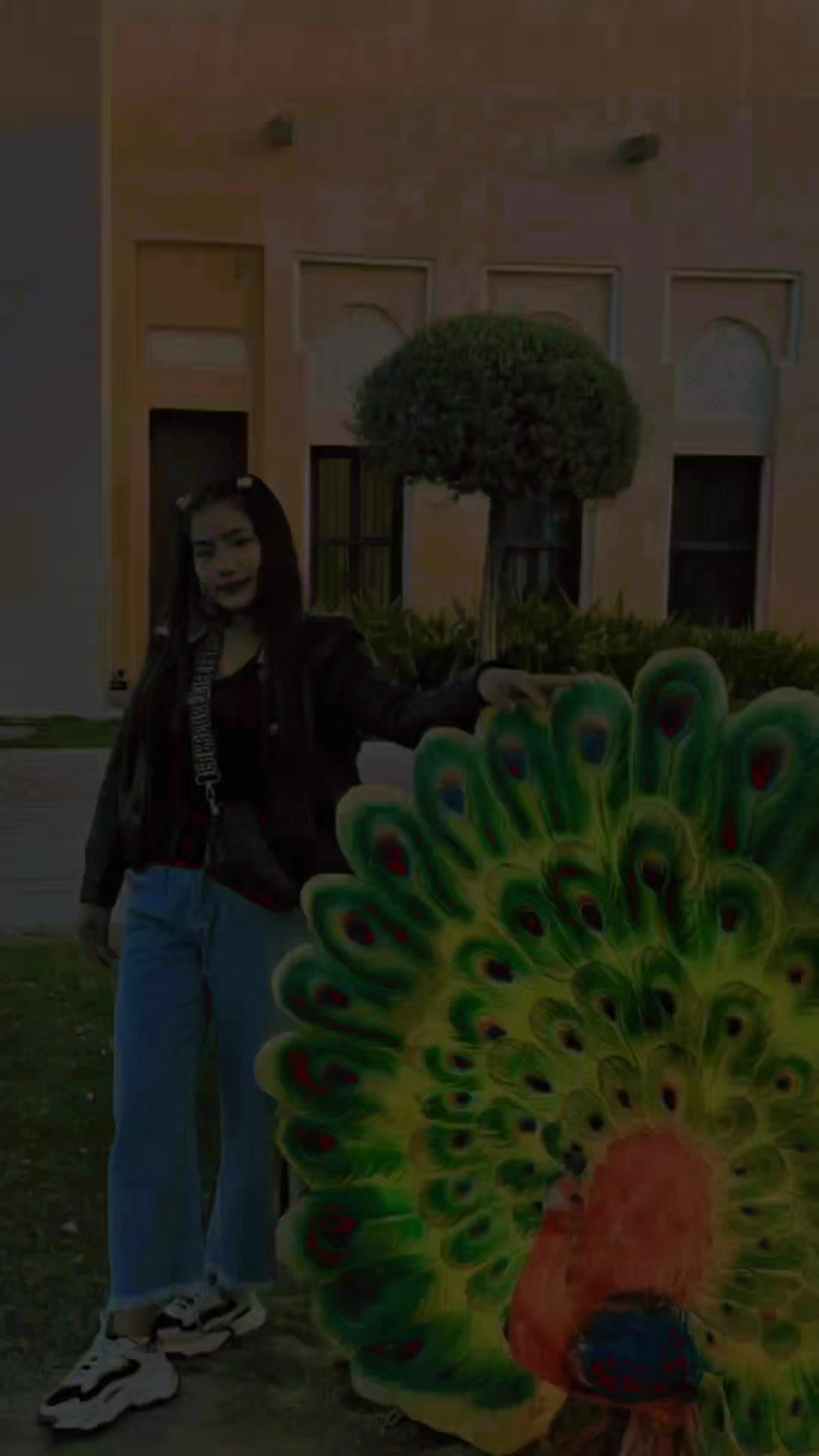 @swostikadhimal386
