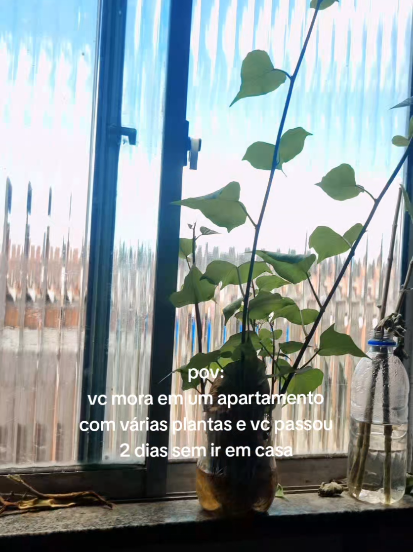 @Sereiadeys