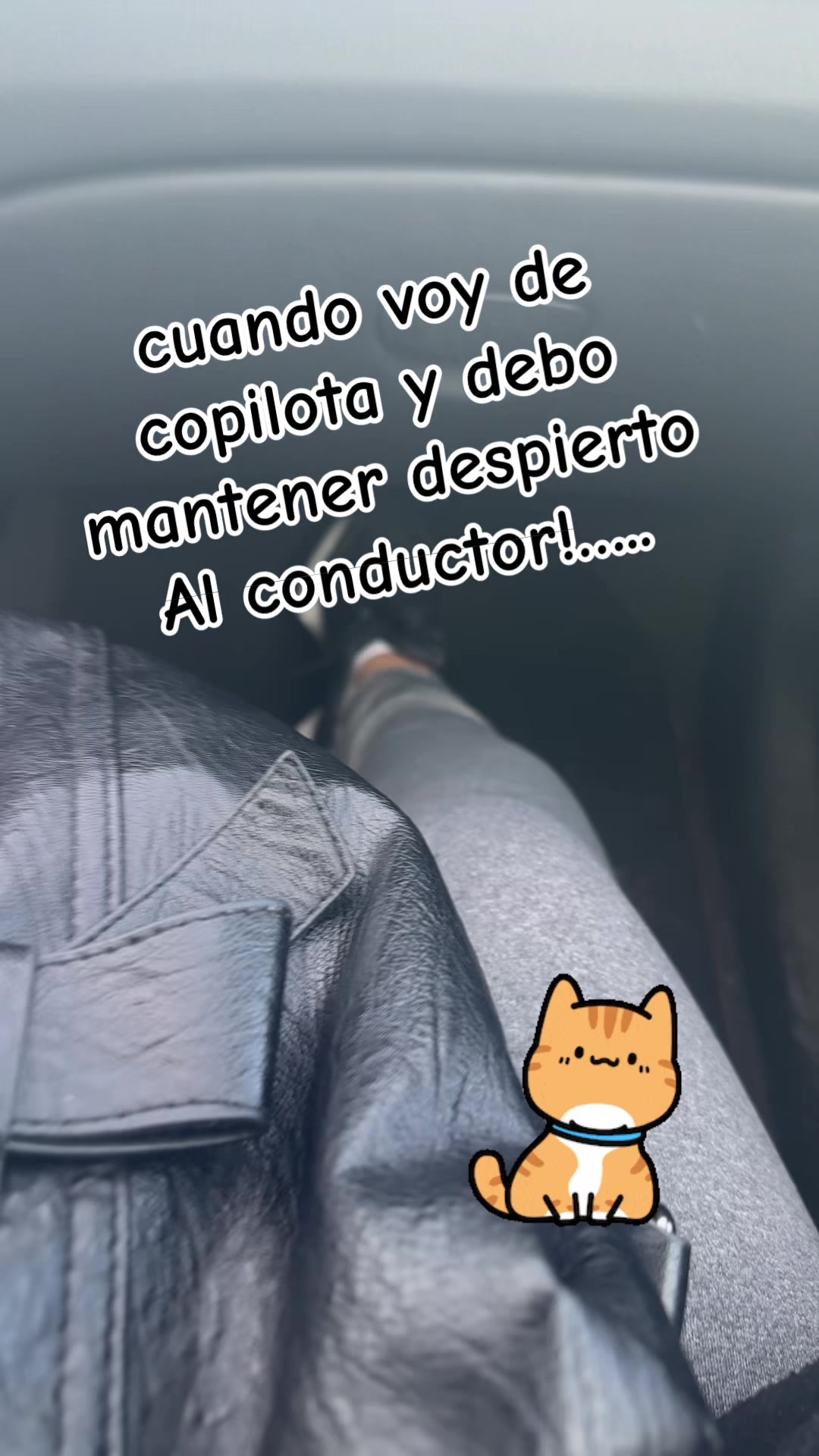 @😻 LALI 😻