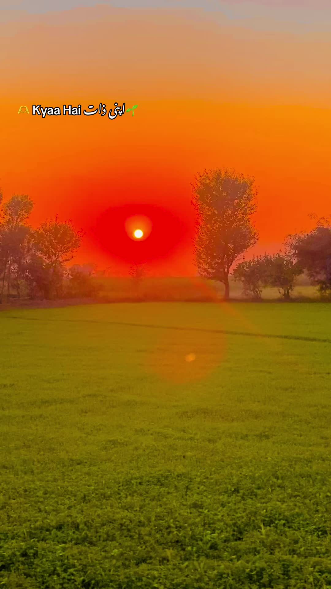 @🥬🎗️پنڈاں آے 🌺