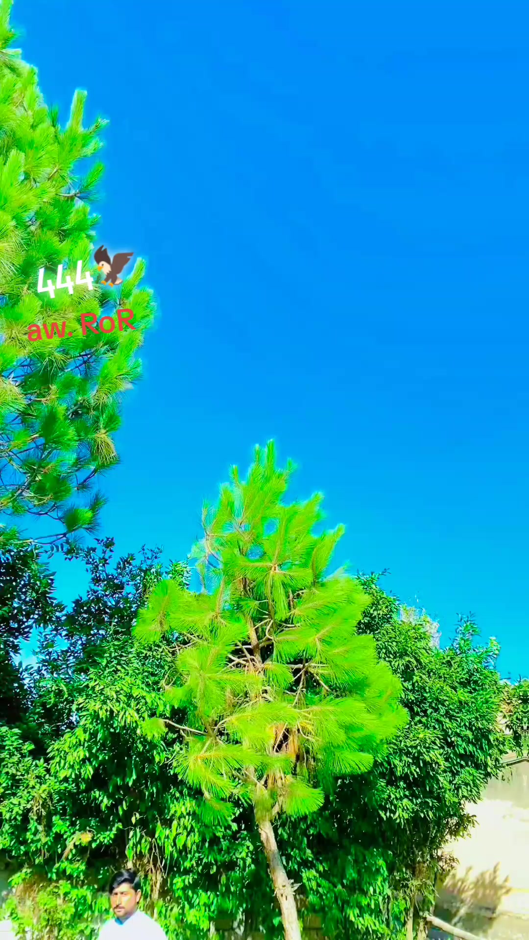 @𝙎𝙞𝙙𝙙𝙞𝙦𝙪𝙚 🦅🚩444