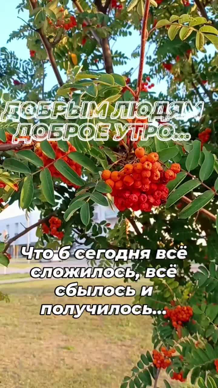 @Танюшка