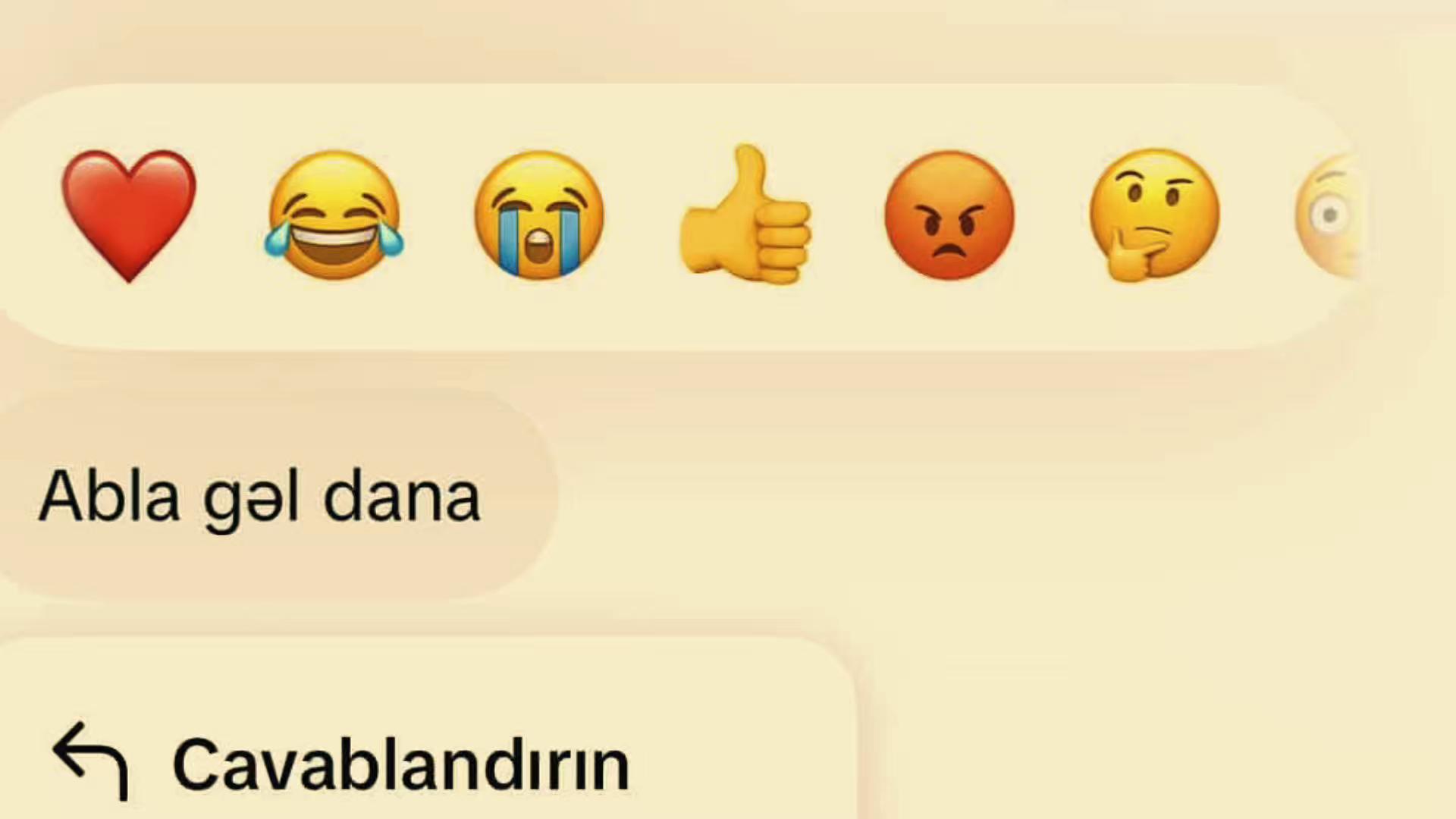 @R1x MİRA