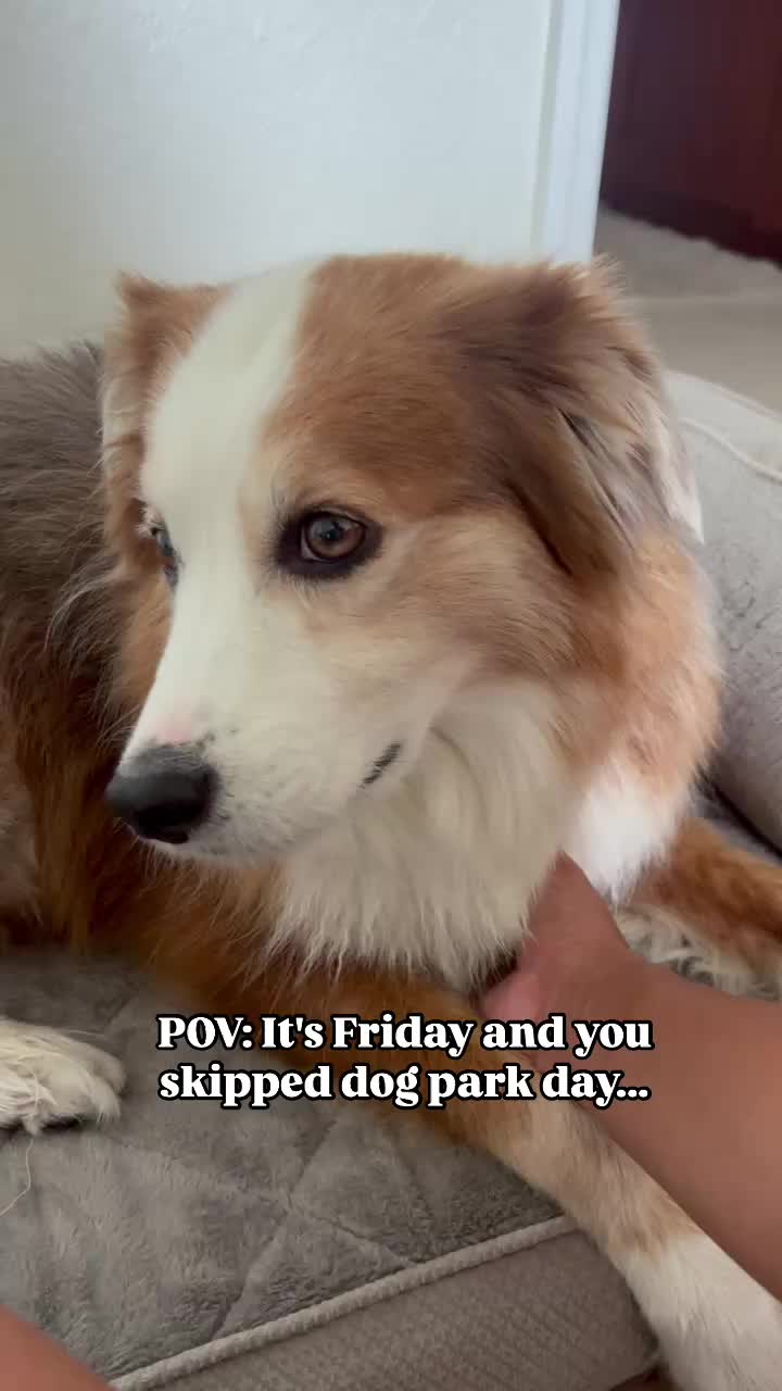 @thehappypack