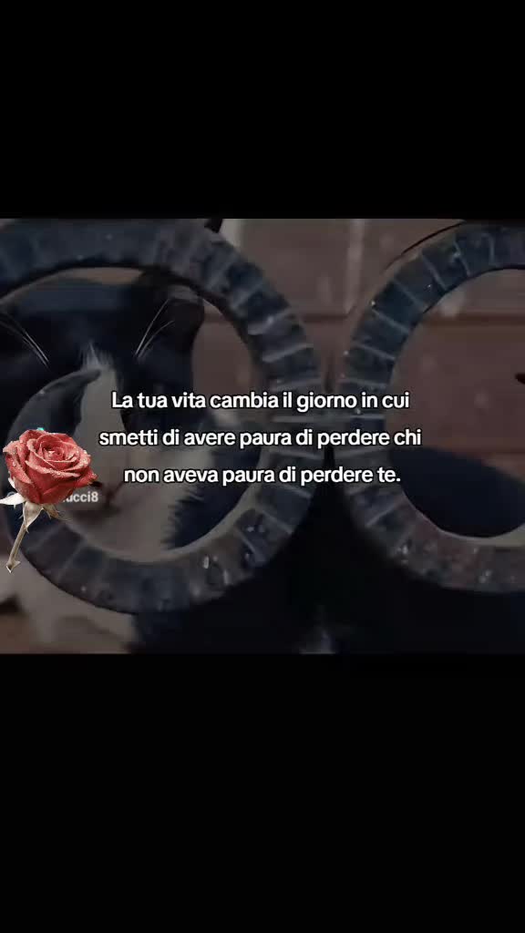@Francesca Marrella
