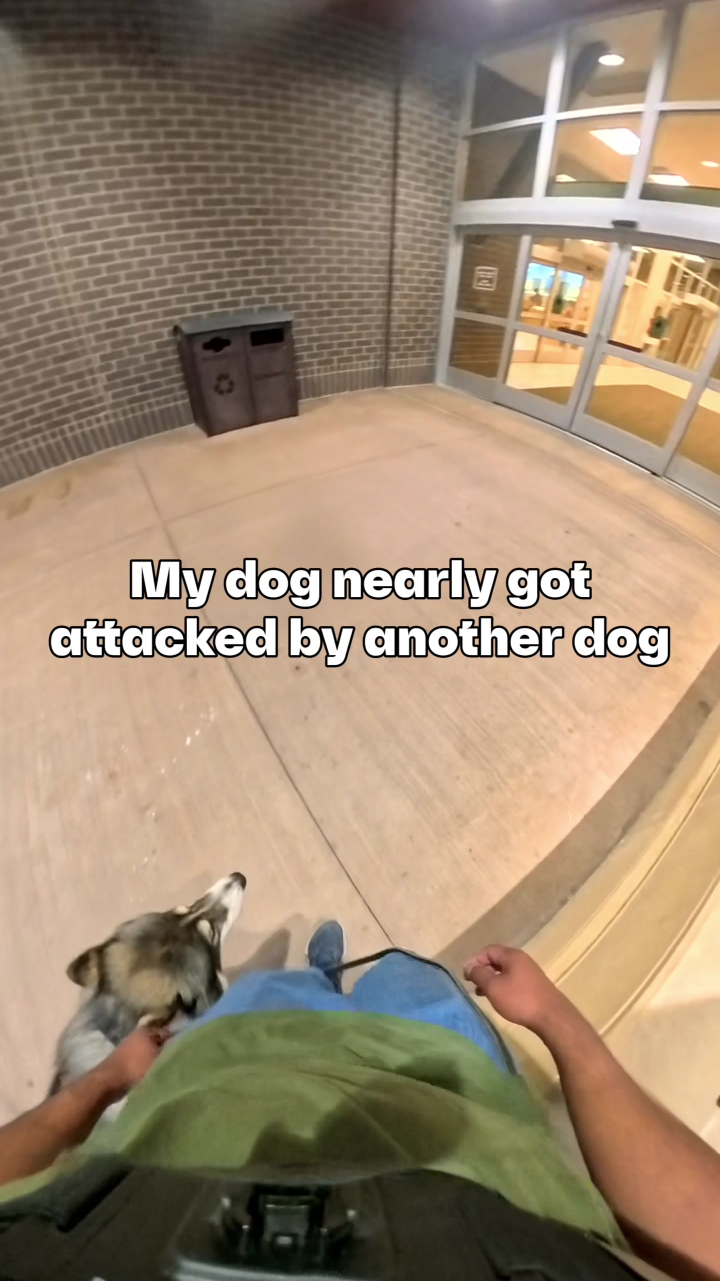 @Neko, Tokahli and Bear
