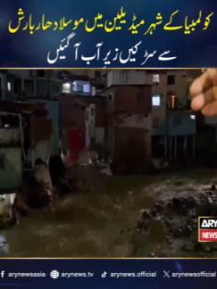 @ARY NEWS