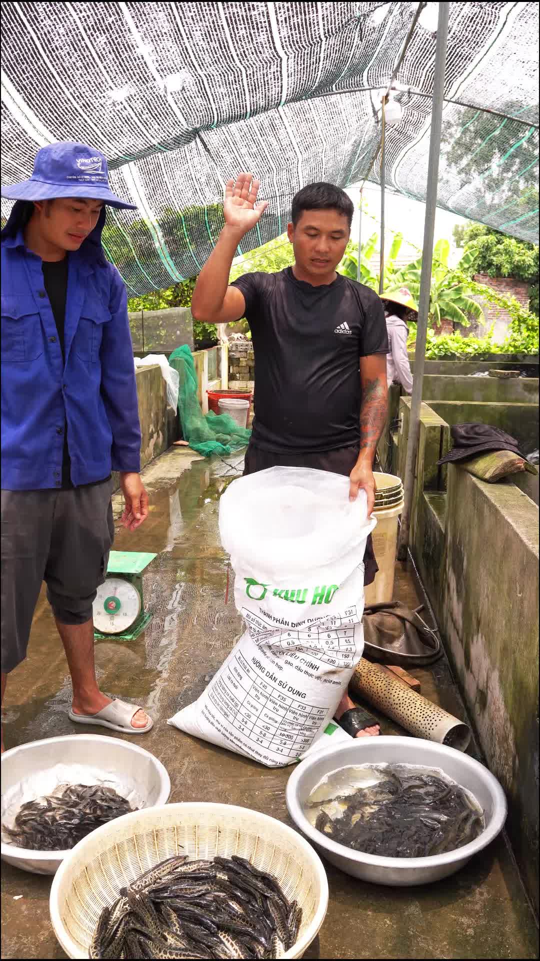 @Trại Cá Giống Quang Lâm