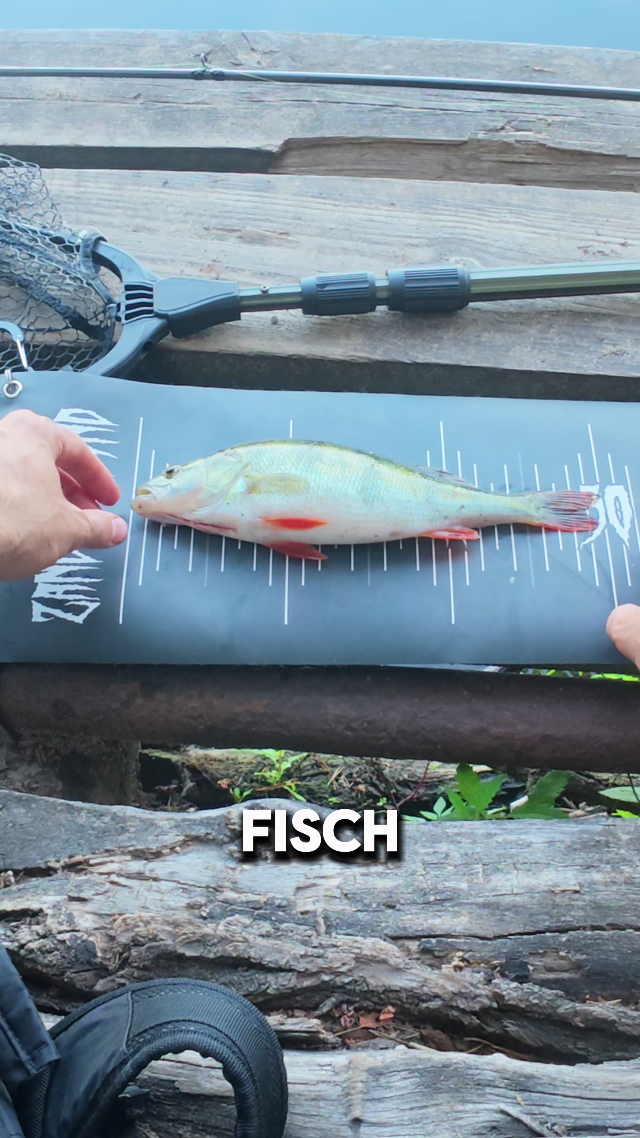 @Fischbulette