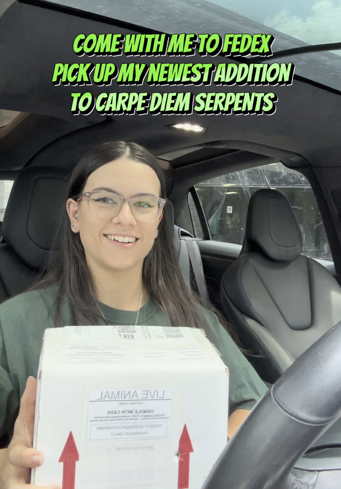 @carpe.diem.serpents