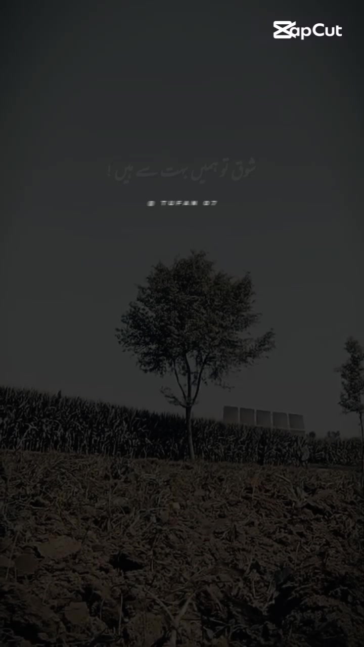 @꧁&bull;⊹٭𝙻𝙰𝚂𝙷𝙰𝚁𝙸 𝟶𝟻٭⊹&bull;꧂